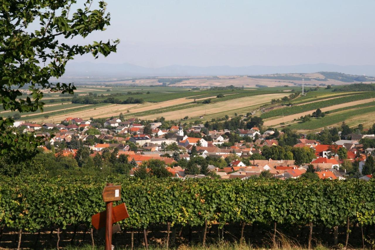 Hotel Weingut Zur Schlafmuetze à Herrnbaumgarten Extérieur photo