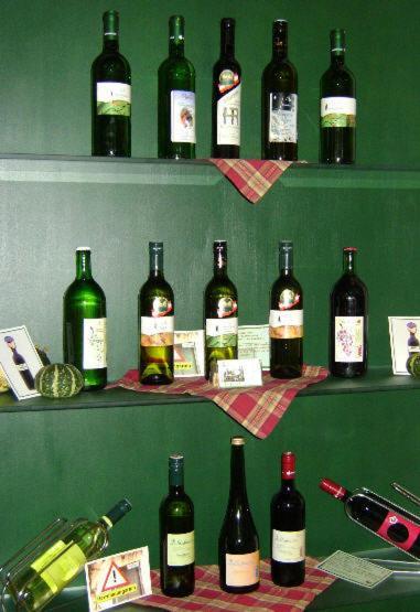 Hotel Weingut Zur Schlafmuetze à Herrnbaumgarten Extérieur photo